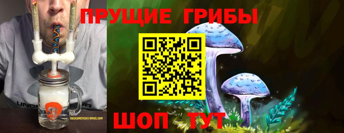 Галлюциногенные грибы Psilocybine cubensis  Вход с VPN  Сафоново 